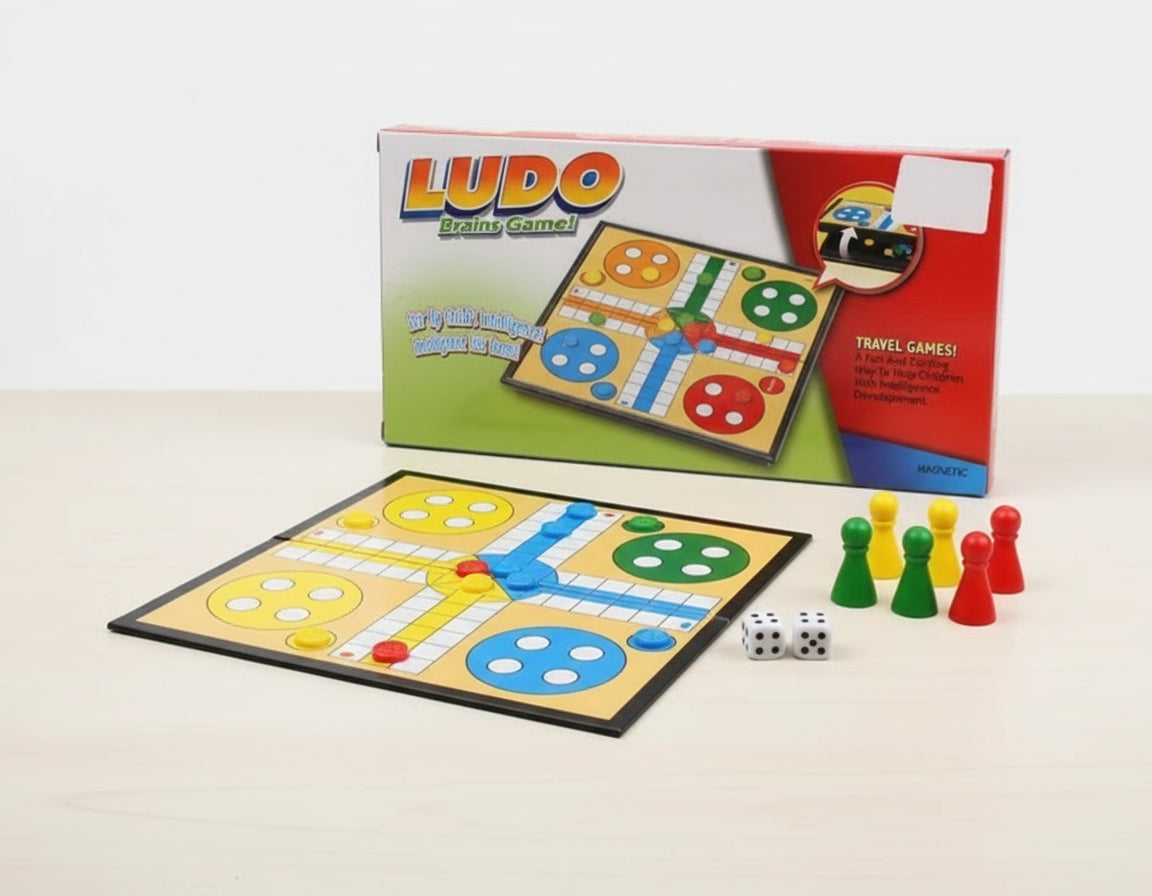 Magnetic Ludo Brain Game