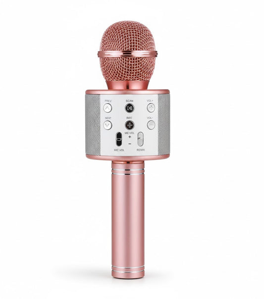 Handle KTV Wireless Microphone Hifi Speaker WS-858